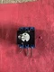 Kraus & Naimer KG41 Disconnect Switch 40 Amp 600V 3 Pole Din Rail Mount Used