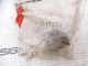 EATON CORPORATION 10250TC7N INDICATOR LIGHT