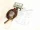 Detroit Switch 222-32 Control Switch, NL-1