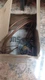 CARRIER # HH 22HA 231  TEMP ACT SWITCH