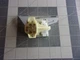 Standard DS77 Headlight Dimmer Switch 26019660 26035239 Chevy Corvette '84-'96