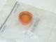 Allen Bradley 800T-N26A Ser C Pilot Light Accessory Amber NEW