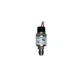 W117G-5H-K12L-X, WHITMAN, Switch, Pressure, 25 Psi Max,