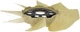 Dorman 621-321 Radiator Fan Blade fits 2004 - 2012 Chevrolet; GMC Colorado; Cany