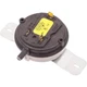 A.O. Smith & A.O. Smith 100109935 FLUE SWITCH FLUE SWITCH