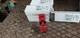 Telemecanique XCS-PA591 Safety Switch XCSPA591