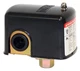 Merrill MPS3050 Water Well Pressure Control & Air-Pump Switch, Black 