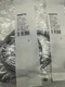 1PCS NEW FESTO SME-8M-ZS-24V-K-2,5-OE Magnetic Switch 543872 #ML