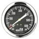 Thuemling Fa-Lfp-310-Cg Panel-Mount Pressure Gauge, 0 To 600 Psi, 3 1/2 In