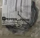 1Pcs New NJ10-30GM50-E2-V1 Pepperl+Fuchs Plc Module nu
