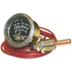 Murphy 20T-250-6-1/2 10702043 2in Temperature Swichgage 130-250F 6ft Cap