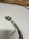 Honeywell 914CE19-3