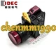 1PC NEW IDEC Red button switch with indicator YW1L-A2E01Q4R YW-DE YW-E011B #YM