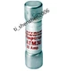 10pcs Ferraz Shawmut Mersen ATM30 ATM-30 ( 30 Amp ) 600VAC Fast Acting Fuse