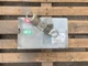 ITE BDEH4100 CIRCUIT BREAKER PLUG ENCLOSURE 600V MAX USED