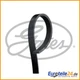 V-ribbed belt Micro-V&reg; GATES 4PK855 for Audi A4 Avant A4