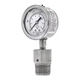 Pic Gauges 301L254g/5Jjja00 Pressure Gauge With Diaphragm Seal, 0 To 200 Psi, 2