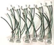 Leviton 20 Amp Right Angle Wiring Module 111-MSTWL-A [Box of 12] NOS