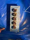 ADALET XIF-031103 &XIF-031303 Explosion Proof Enclosures -READ COMPL DESCRIPTION