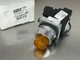 Siemens 52PT6D9AB Oil Tight Pilot Light, Push to Test 24V AC/DC