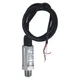 DWYER 628-10-GH-P1-E1-S1 Pressure Transmitter,0 to 100 psi,1/4 in 2HLW2