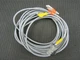 Turck PKGC 4M-6-WS 4.4T/S824 U-33064 Actuator & Sensor Cordset - New No Box
