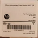 Allen Bradley 800T-A6 Replacement 30mm Momentary Push Button