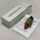 GEMS 223153 PRESSURE SWITCH PS61-19-2MNZ-A-SP U3S