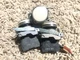 Schneider Electric & Telemecanique ZBV-B1 White Push Button (Lot of 3)