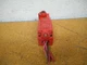 Telemecanique XCS-B703 Safety Interlock Switch 3A 240V AC15 A300-Q300 Used