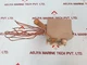 Danfoss KPS 81 Temperature Switch 060L3107
