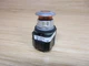 Allen Bradley 800T-FXQ10A1 Push Button Amber