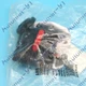 1PC new abb OHBS2AJ1 Isolation switch handle Fast Delivery