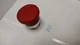 AUTOMATION DIRECT GCX1202-24 PUSH BUTTON