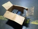 PROTEUS INDUSTRIES 9WS2N8-FM1B-E1 WELDSAVER FLOW CONTROL DEVICE 8 W, 145 PSI