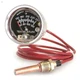 10703160 Murphy by Enovation Controls A20T-250-6-1/2 Temperature Swichgage