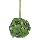 Set of 2 Hanging Artificial 5" Mistletoe Kissing Ball Ornaments