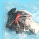 one NEW OHBS2AJ1 Abb Isolation switch handle Quality assurance