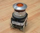 Allen Bradley 800T-FXQ24 A1 Button 800TFXQ24A1 Amber