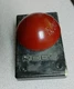 REES 00662-002_1 93 PLASTIC MUSHROOM PUSH BUTTON 2-1/4'' FACE WOW!!