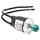 Viair 90223 Sealed Pressure Switch 90 PSI On / 120 PSI Off 1/8 Male NPT Thread R