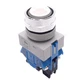 IDEC ALW212620D-A Amber Illuminated Pushbutton, 22mm, 2NO, 24V LED, 600V Max
