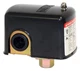 Merrill MPS4060 Water Well Pressure Control & Air-Pump Pressure Switch, 40-60...