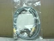 Turck RK 4.4T-1-RS 4.4T Eurofast Male to Female Cordset 1M U244 Factory Sealed-F