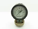Reotemp Pressure Gauge 100PSI w/HAST-C Diaphragm Seal DC 200 Liquid Fill L-Mount