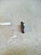 Crouzet Type 84210 Thumbwheel Switch 0-9 84210M03/CNNS