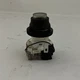 Westinghouse PB1E Model B Push Button With PB1V0P Full Voltage Light Black Clear