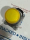 ALLEN-BRADLEY 800FM-P5 Yellow 22mm Pilot Light W/800F-N5W 120VAC