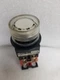 Fuji AR30G4L-E3 White Lamp Push Button Momentary Switch 30V