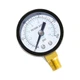 Qolekog 1/8" NPT 200Psi Steel Economical All Purpose Pressure 0-200Psi (dry) 